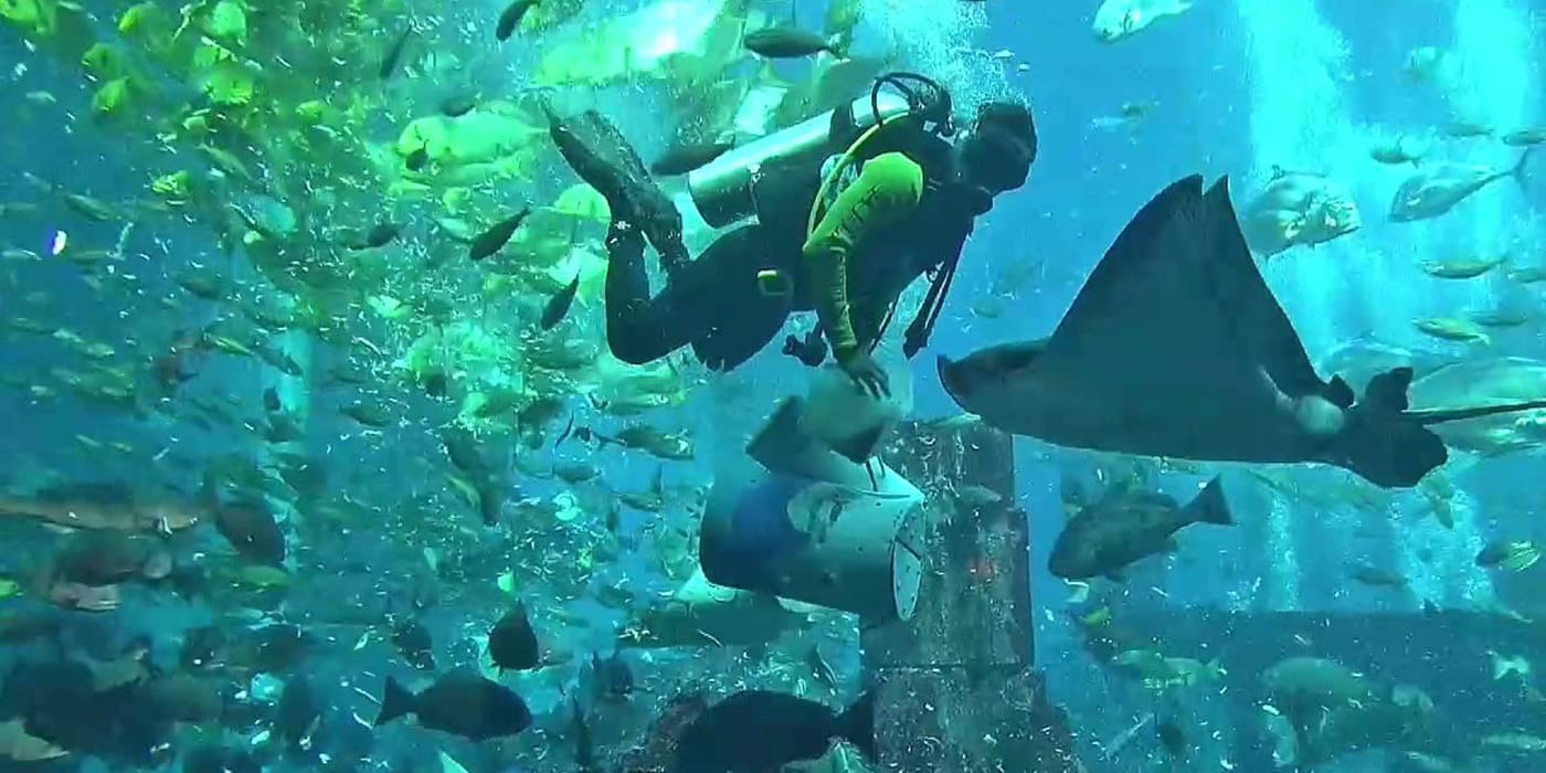 Lost Chambers Aquarium Dubai Entry Ticket