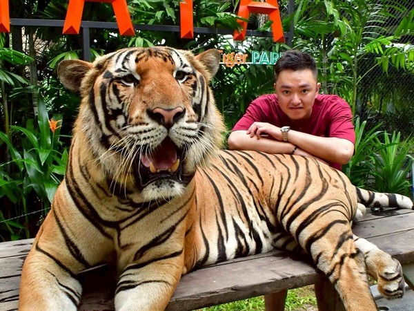 Tiger Park Pattaya Admission Ticket