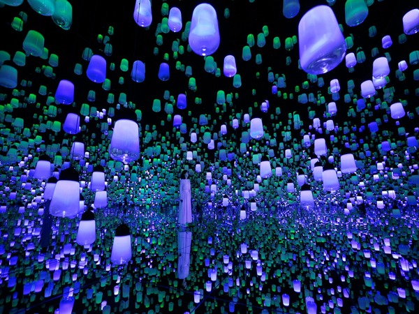 teamLab BioVortex Kyoto Tickets