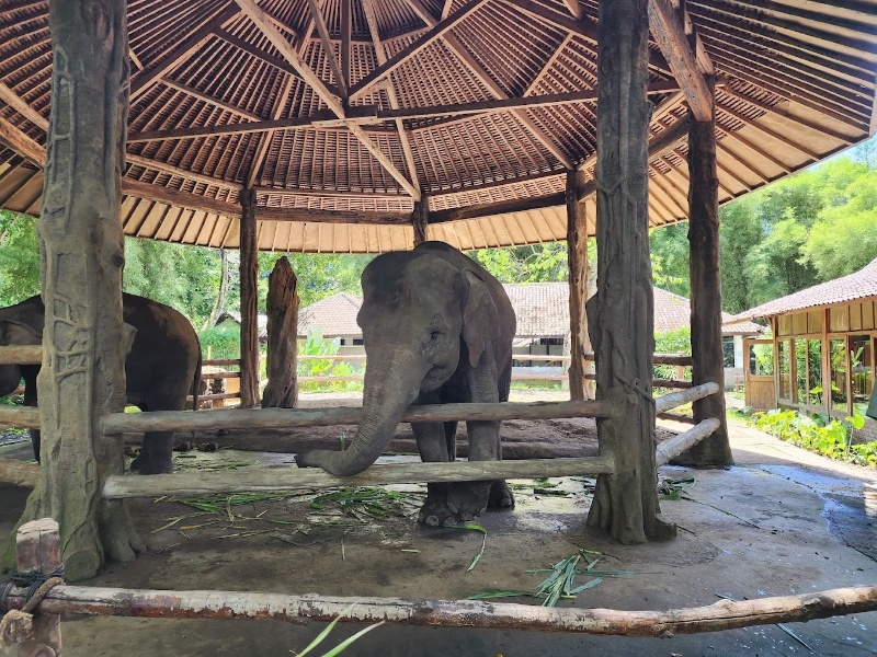 Bali Safari Park General Admission Ticket