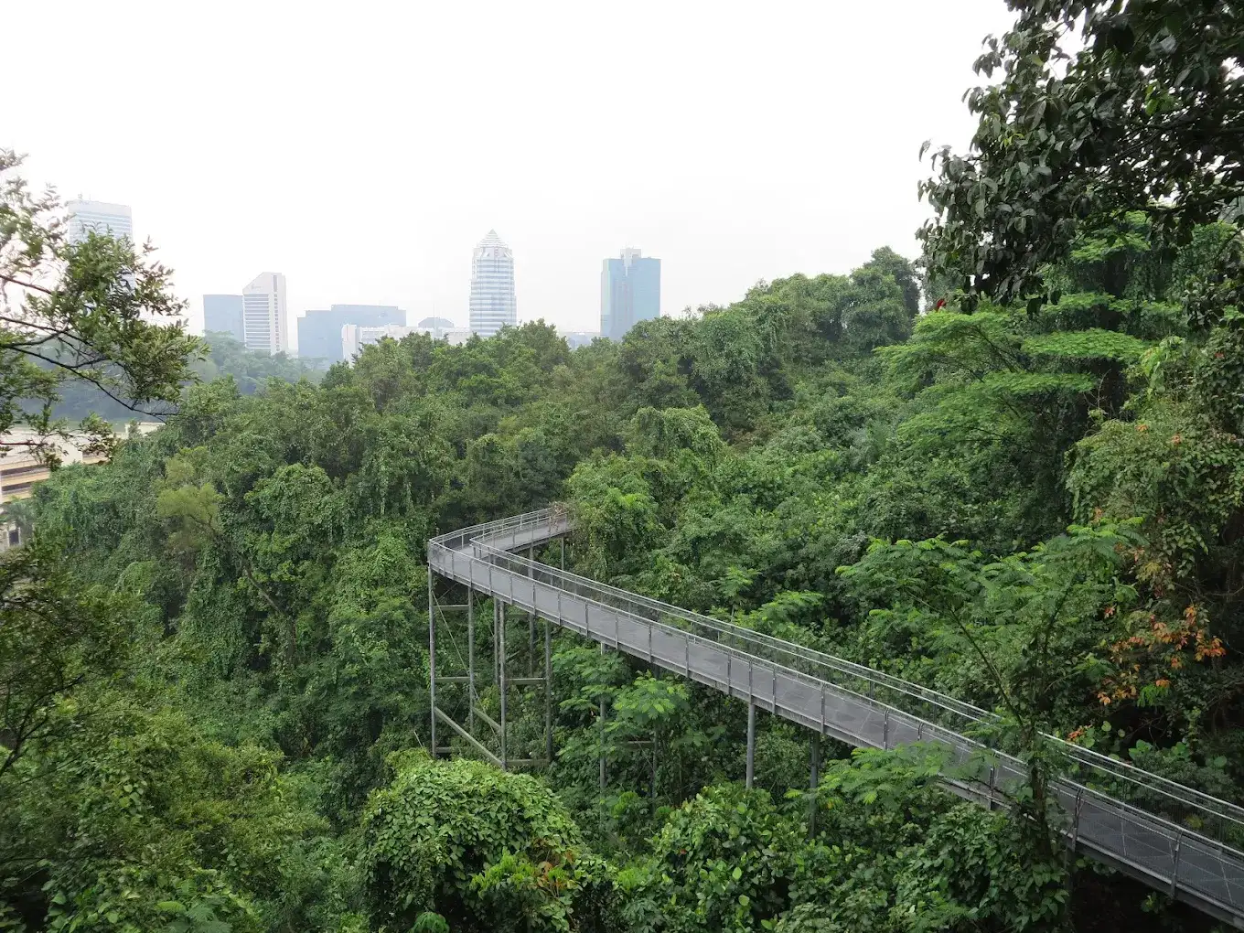 Mount Faber Park Cable Car SkyPass Singapore Ticket