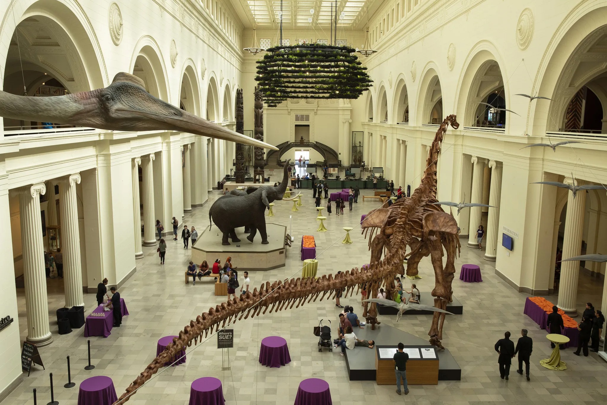 Field Museum of Natural History Entry Ticket
